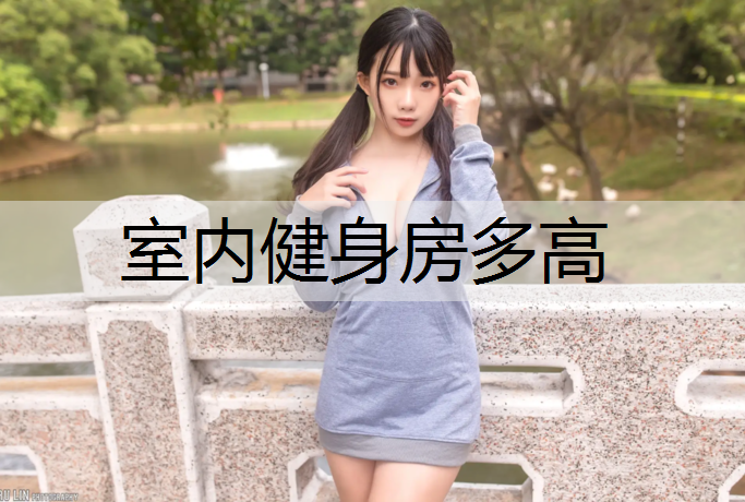 室内健身房多高