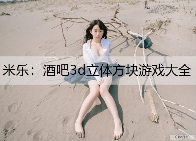 米乐：酒吧3d立体方块游戏大全