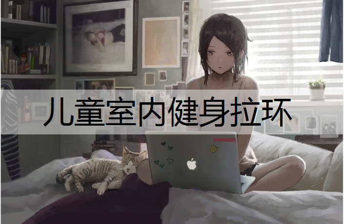 <strong>儿童室内健身拉环</strong>