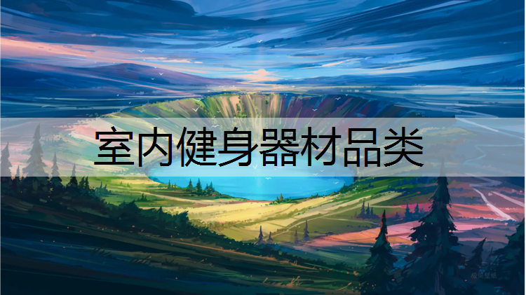 室内健身器材品类