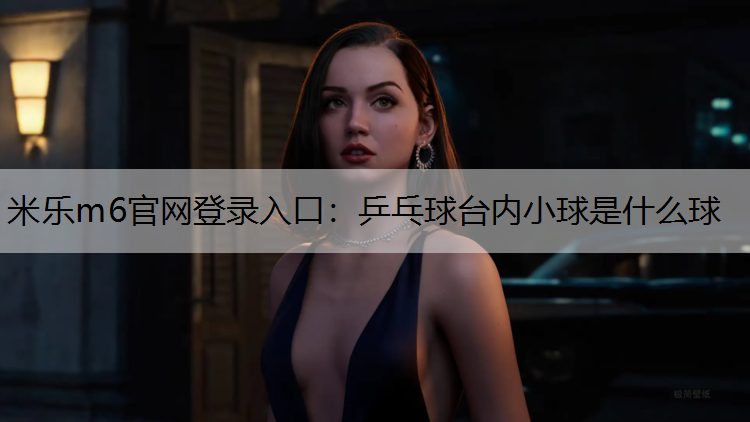 乒乓球台内小球是什么球