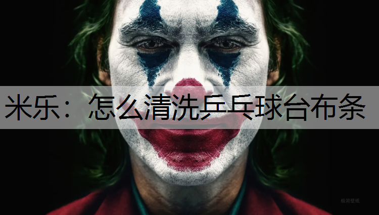 怎么清洗乒乓球台布条 怎么清洗乒乓球台布条